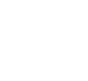 لوگوی سفید دندانمهر